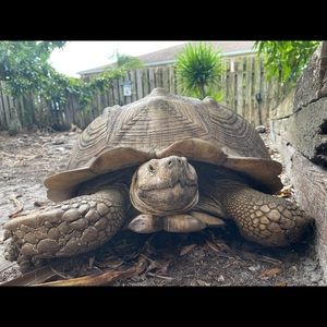 Meet your Posher, Stephen